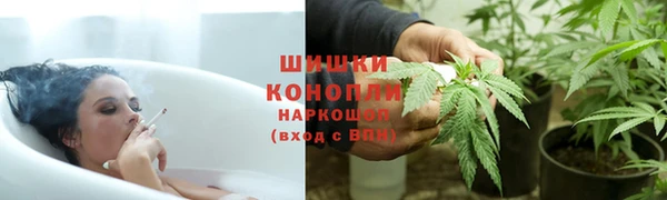 индика Абдулино