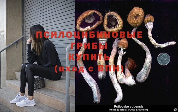 apvp Абинск
