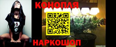 стаф Тулун