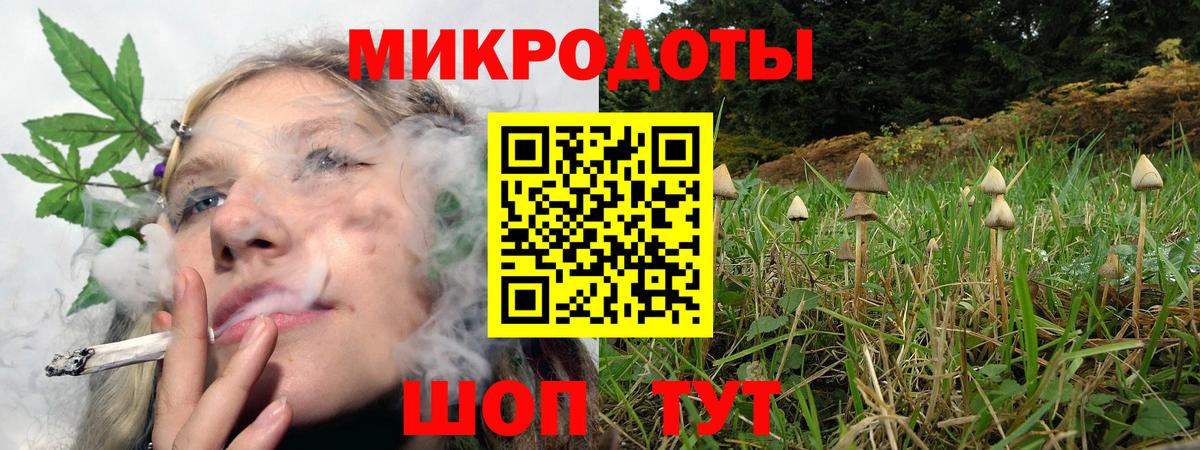 Галлюциногенные грибы Psilocybe Новочеркасск