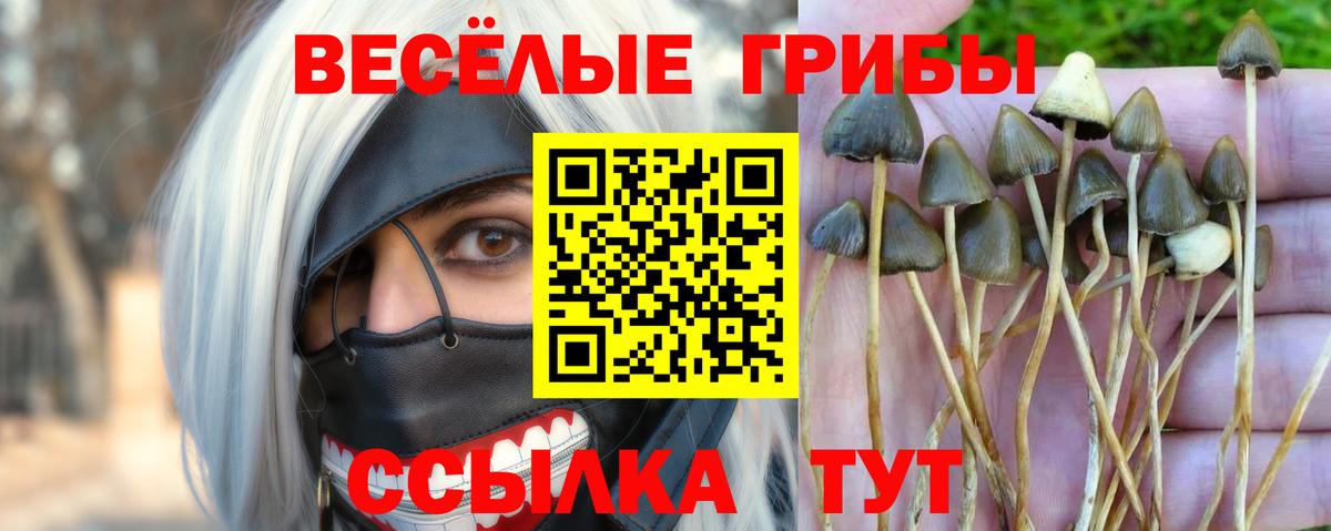 Псилоцибиновые грибы ЛСД  Вход с VPN  Новочеркасск 